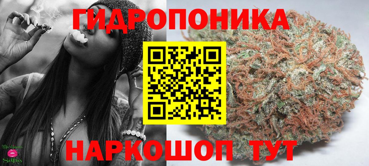 Бошки Шишки марихуана  Вход с VPN  Белгород  Бошки марихуана AK-47  Конопля White Widow 